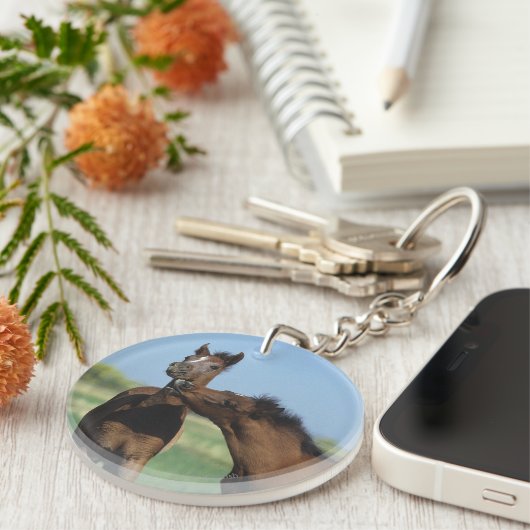 Foalen afspelen 2 sleutelhanger (Voorkant Rechts)