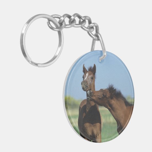 Foalen afspelen 2 sleutelhanger (Voorkant Links)