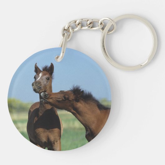 Foalen afspelen 2 sleutelhanger (Achterkant)