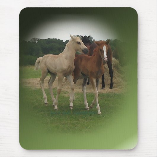 Foalen bewerken muismat (Voorkant)