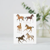 Foalen Briefkaart (Staand voorkant)