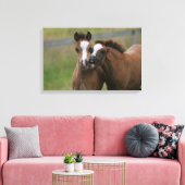 Foals afspelen canvas afdruk (Insitu (Woonkamer))