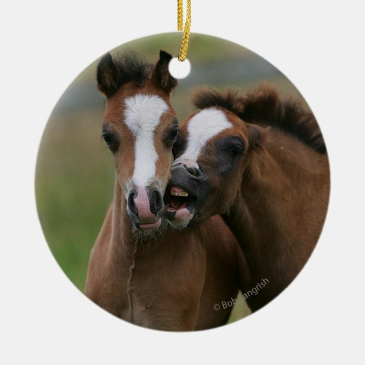 Foals afspelen keramisch ornament (Voorkant)