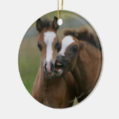 Foals afspelen keramisch ornament (Links)