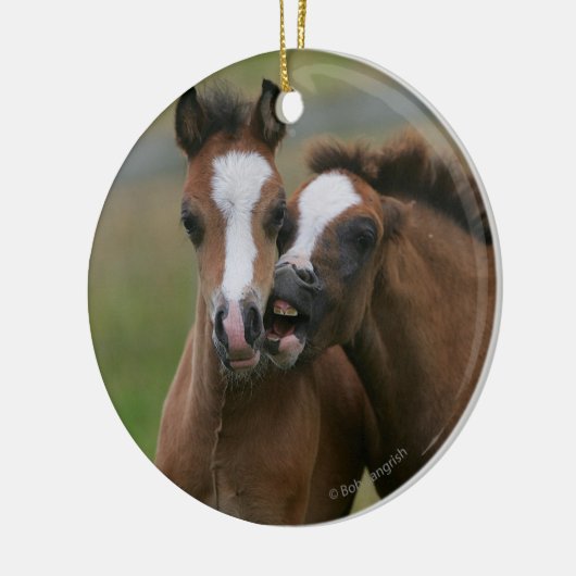 Foals afspelen keramisch ornament (Links)