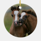 Foals afspelen keramisch ornament (Achterkant)