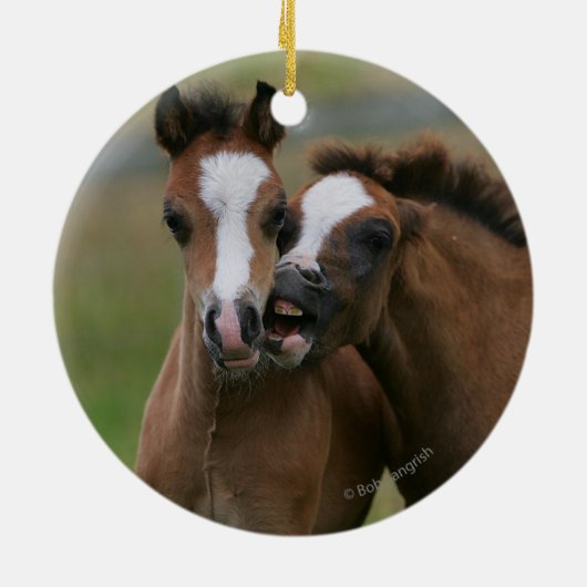 Foals afspelen keramisch ornament (Achterkant)