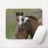 Foals afspelen muismat (Met muis)