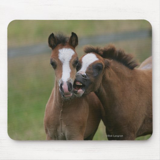 Foals afspelen muismat (Voorkant)