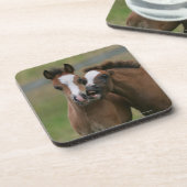 Foals afspelen onderzetter (Linkerzijde)