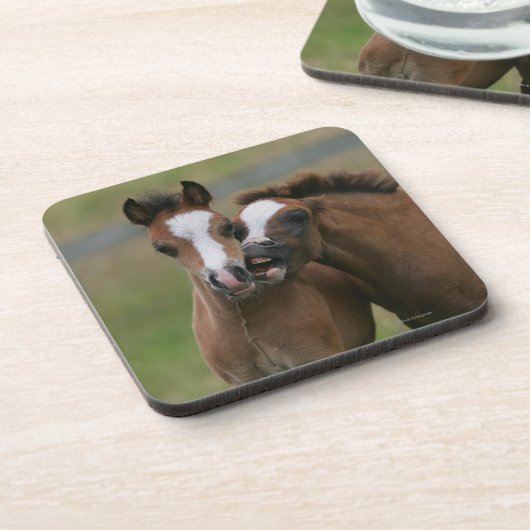 Foals afspelen onderzetter (Linkerzijde)