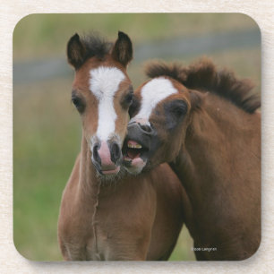 Foals afspelen onderzetter