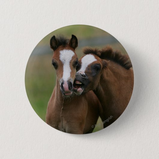 Foals afspelen ronde button 5,7 cm (Voorkant)