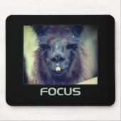 Focus Black Llama Inspirerend Muismat (Voorkant)