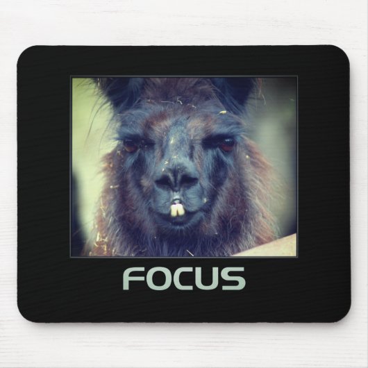 Focus Black Llama Inspirerend Muismat (Voorkant)