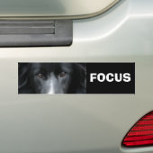Focus Border Collie Motivatie Bumpersticker (Op auto)