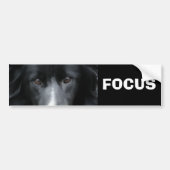 Focus Border Collie Motivatie Bumpersticker (Voorkant)