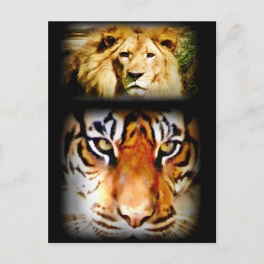 Focus & Courage_ Briefkaart (Voorkant)