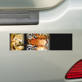 Focus & Courage_ Bumpersticker (Op auto)