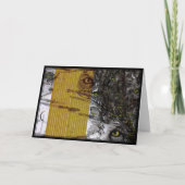 Focus Kaart (Voorkant)