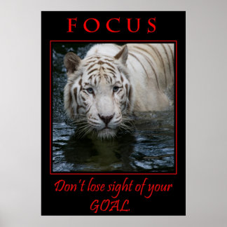 Focus Motivatie Poster