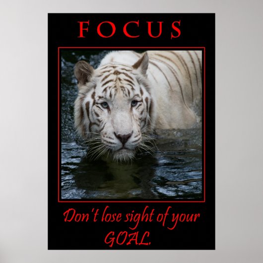 Focus Motivatie Poster (Voorkant)