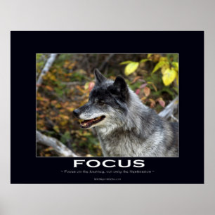 FOCUS Motivatie Poster