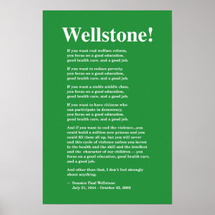 Focus op goed onderwijs, Wellstone 16x24 Poster