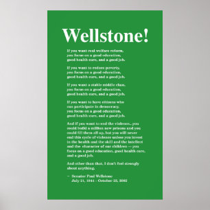 Focus op goed onderwijs, Wellstone 22x36 Poster