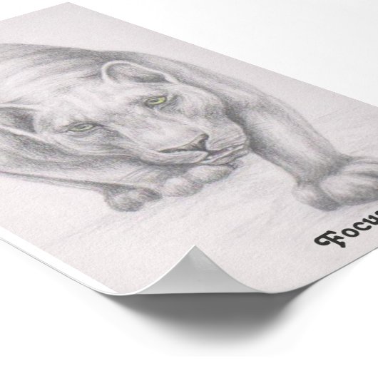 Focus. Poster (Hoek)