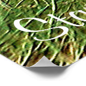 Focus _ Poster (Hoek)