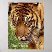 Focus _ Poster (Voorkant)