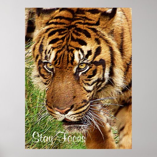 Focus _ Poster (Voorkant)