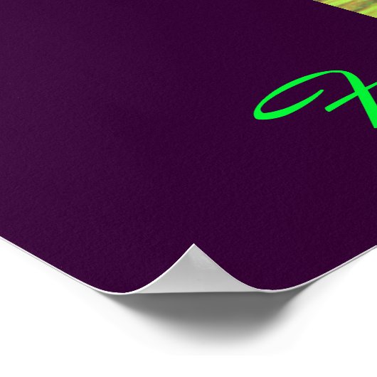 Focus Poster (Hoek)