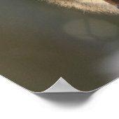 Focus Quote op het Wolf Afbeelding Aanmoediging Po Poster (Hoek)