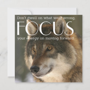 Focus Quote op Wolf Afbeelding Aanmoediging Kaart