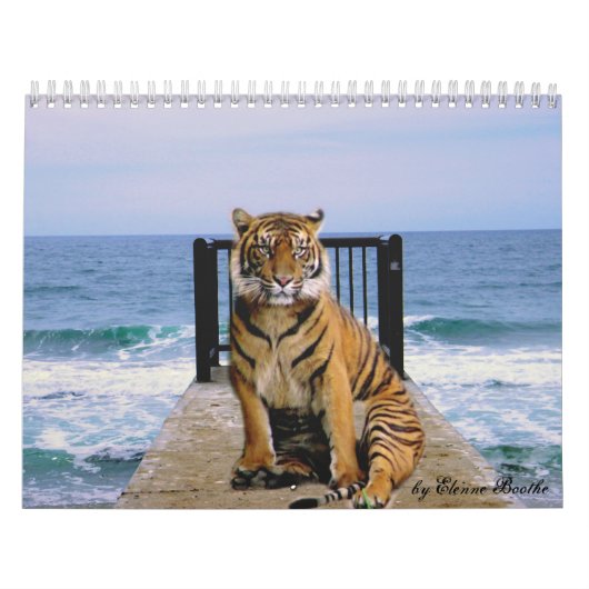 Focus & Strength_2010 Calendar-by Elenne Boothe Kalender (Hoes)
