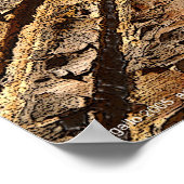 Focus van Gregory Gallo Poster (Hoek)