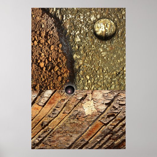 Focus van Gregory Gallo Poster (Voorkant)