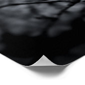 "Focus" Zwart-wit bloesem poster (Hoek)