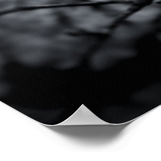 "Focus" Zwart-wit bloesem poster (Hoek)