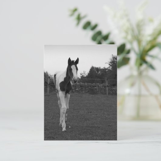 foel briefkaart (Staand voorkant)