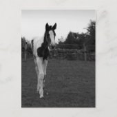 foel briefkaart (Voorkant)