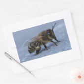 Foeragerende bij rechthoekige sticker (Envelop)