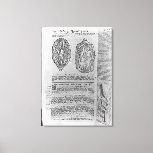 Foetus, illustratie van "Oeuvres" Canvas Afdruk (Voorkant)