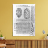 Foetus, illustratie van "Oeuvres" Canvas Afdruk (Insitu (Woonkamer))