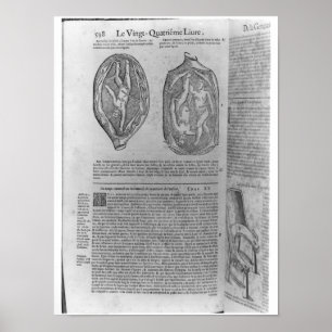 Foetus, illustratie van "Oeuvres" Poster