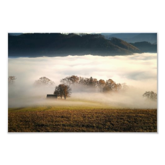 Fog Covered Shack in Meadow Foto Afdruk (Voorkant)