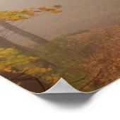 Fog- en herfstbladerbladeren, Great Smoky Mountain Poster (Hoek)