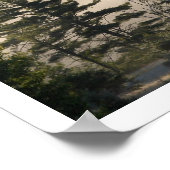 Fog en naaldbomen in de ochtend poster (Hoek)